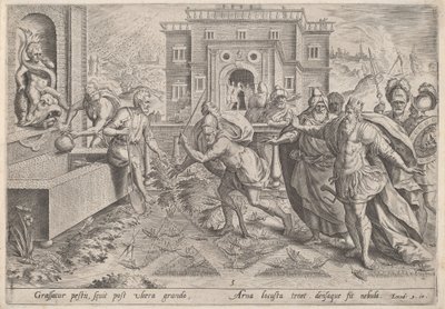 Die Plage der Heuschrecken von Jan Sadeler I, after Maarten van Cleef