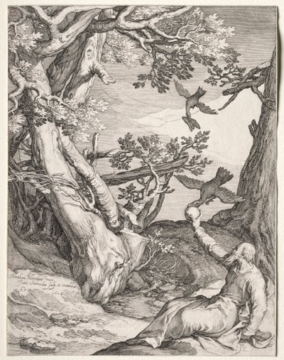 Elia in der Wüste von Raben gefüttert von Jan Saenredam