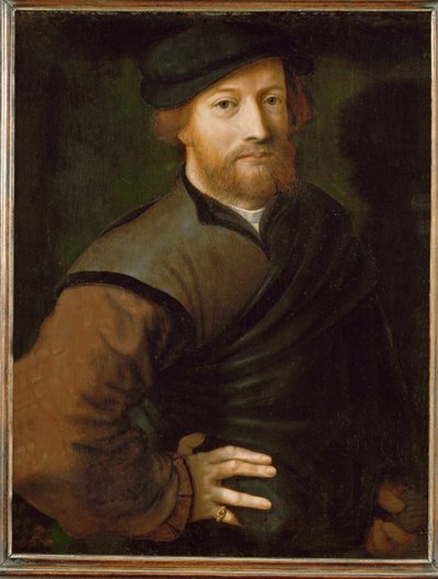 Männliches Porträt von Jan Sanders van Hemessen