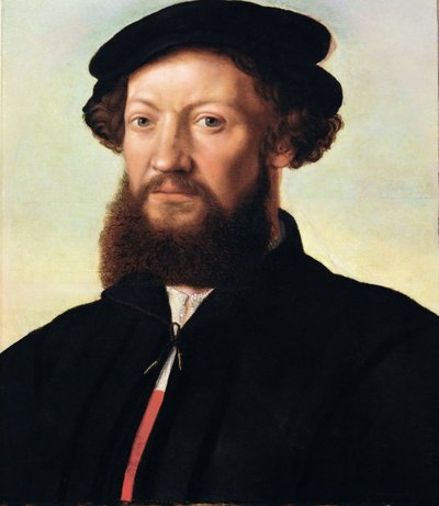 Porträt eines Mannes von Jan Sanders van Hemessen