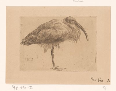 Ibis von Jan Veth (signed by artist)