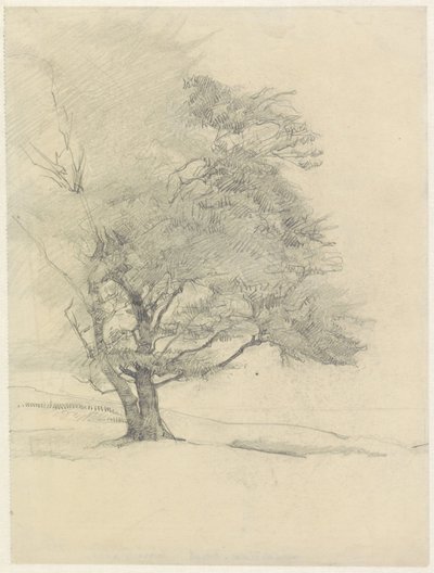 Der Malerbuche bei Hoog-Soeren von Jan Veth