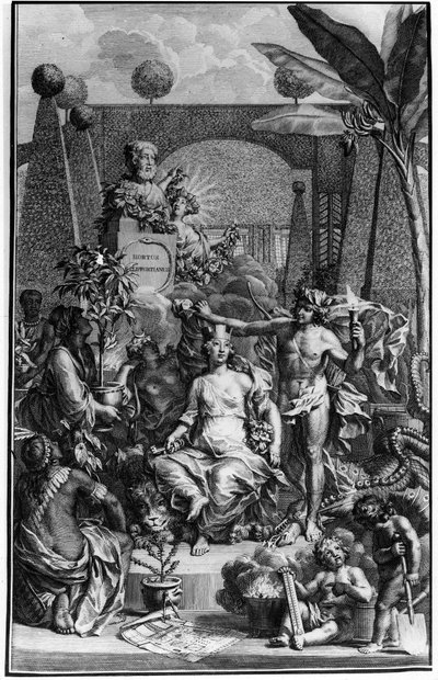 Frontispiz von „Hortus Cliffortianus“ von Carl von Linné (1707-1778), schwedischer Naturforscher. 1737. Gravur von Jan Wandelaar (1690-1759). Privatsammlung. von Jan Wandelaar