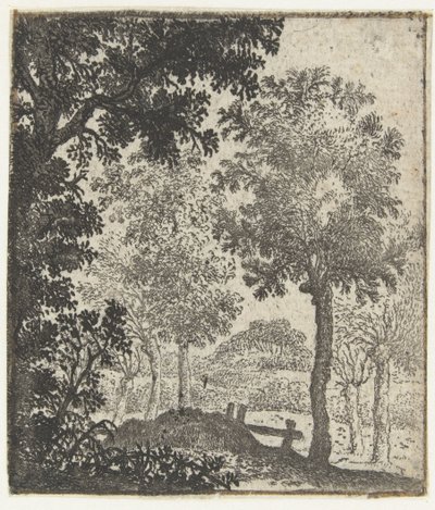 Landschaft mit großem Baum im Vordergrund von Jan van Brosterhuyzen