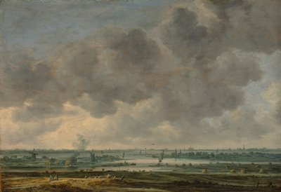 Ansicht von Haarlem und dem Haarlemmer Meer, 1646 von Jan van Goyen