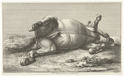 Gefallenes Pferd auf der linken Seite liegend von Jan van Huchtenburg