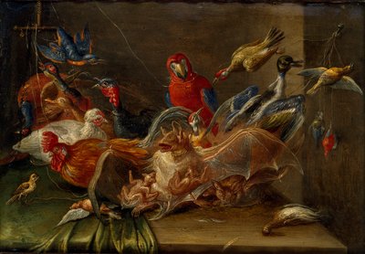 Dekorative Stillleben-Komposition mit Vögeln und zwei Fledermäusen, Mitte des 17. Jahrhunderts von Jan van Kessel