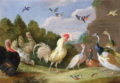 Waldlandschaft mit einem Hahn, Truthahn, Hühnern und anderen Vögeln, 17. Jahrhundert von Jan van Kessel the Elder