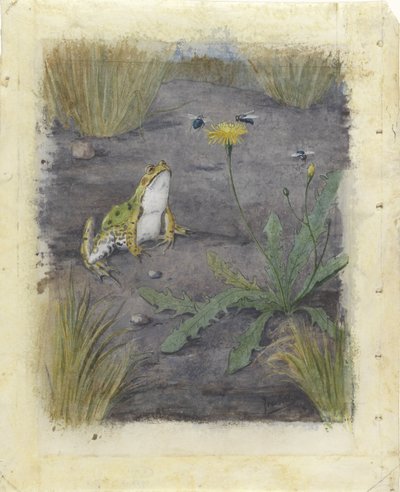 Frosch bei einer Pusteblume mit Fliegen von Jan van Oort