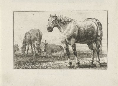 Pferde und Kühe von Jan van den Hecke