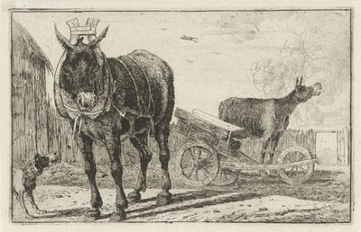 Zwei Esel von Jan van den Hecke