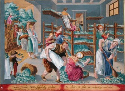 Frauen, die Regale mit Maulbeerblättern für die Seidenraupen auslegen, Tafel 5 aus 