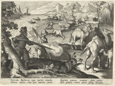 Matrosen in einem schrecklichen Barbarenland töten Kamele mit Musketen, um ihren Hunger zu stillen, Illustration aus 
