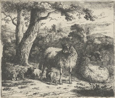 Stehendes Schaf mit zwei Lämmern von Jan van der Meer (II)