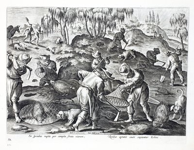 Ausgraben und Fangen von Stachelschweinen, Platte 54, Illustration aus 