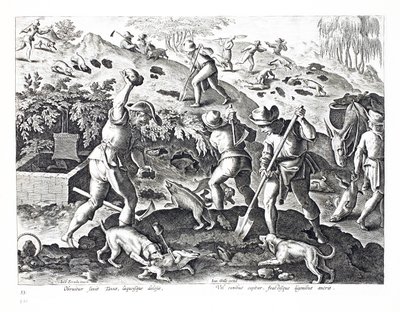 Ausgraben und Fangen von Dachsen, Illustration aus 