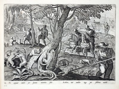 Katzenjagd mit Hunden, Illustration aus 