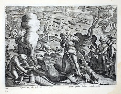 Kaninchenjagd, Illustration aus 
