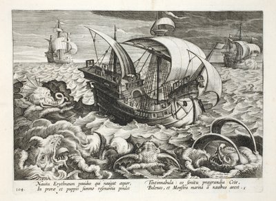 Jagd auf Meereskreaturen, Tafel 84, Illustration aus 