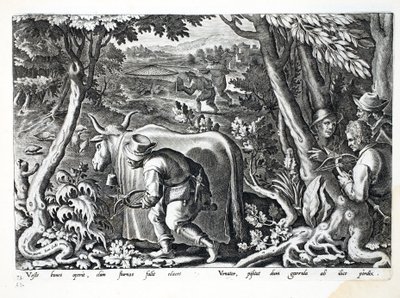 Jagd auf Stare und Rebhühner, Illustration aus 