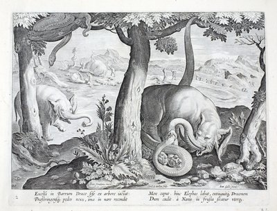 Schlange, die bei der Elefantenjagd verwendet wird, Illustration aus 