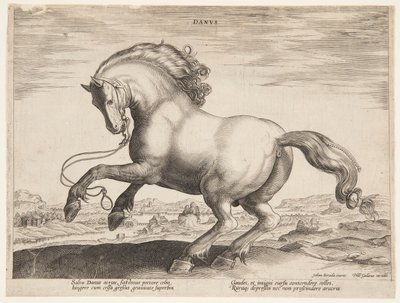 Ein dänisches Pferd, aus dem vierten Set von "Equile Joannis Austriaci" von Jan van der Straet, called Stradanus