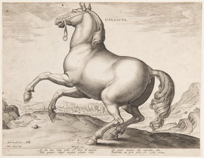 Ein französisches Pferd, aus dem ersten Satz von "Equile Joannis Austriaci" von Jan van der Straet, called Stradanus