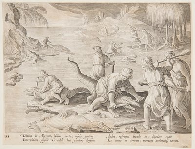 Krokodiljagd in Tentyra, in Ägypten, Tafel 30 aus der Serie Venationes Ferarum, Avium, Piscium von Jan van der Straet, called Stradanus