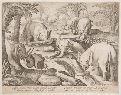 Elefanten helfen sich gegenseitig aus einer Falle, Platte 1 aus der Serie Venationes Ferarum, Avium, Piscium von Jan van der Straet, called Stradanus