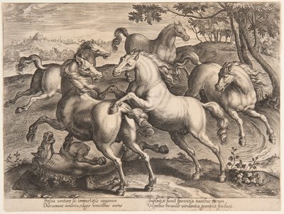 Kämpfende Pferde, aus dem vierten Satz von "Equile Joannis Austriaci" von Jan van der Straet, called Stradanus