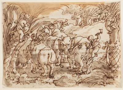 Rechte Seite: Elefanten von Troglodyten gejagt; Rückseite: Inschrift zu Plinius des Älteren Naturgeschichte, Buch 8, Kapitel 8 von Jan van der Straet, called Stradanus