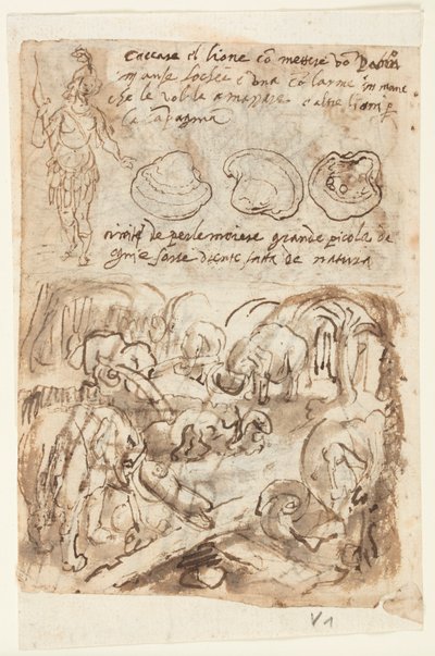 Recto, oben: Stehende indische Figur, Austernschalen. Recto, unten: Elefanten helfen sich gegenseitig aus einer Falle, aus Plinius