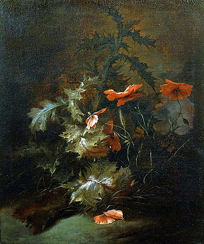 Disteln und Mohn von Jan van the Elder Kessel