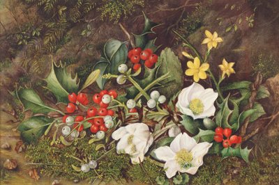Stechpalmen und Weihnachtsrosen von Jane Taylor