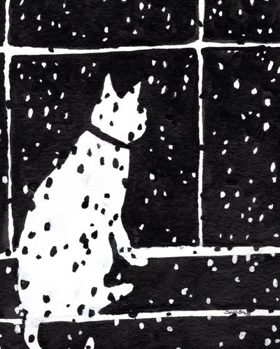 Katze im Fenster während eines Schneesturms, um 2019 von Janel Bragg