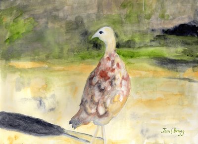 Fasanenweibchen von Janel Bragg