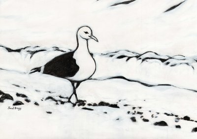 Möwe aus dem Washington Park, ca. 2017 von Janel Bragg