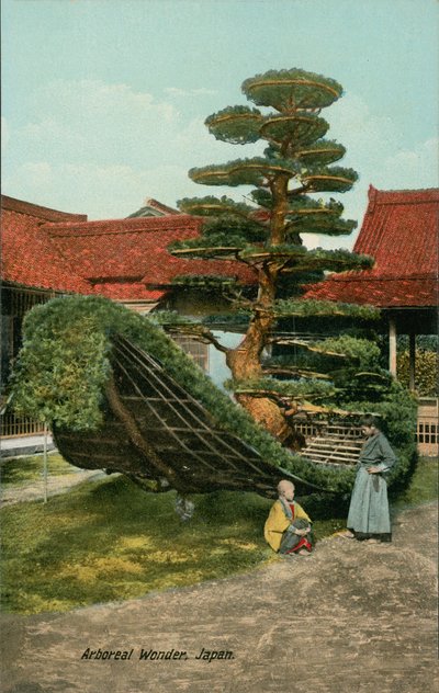  von Japanese Photographer