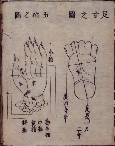 Diagramm der Akupunkturpunkte in Händen und Füßen, aus einem japanischen Kommentar zu einem chinesischen Werk über Akupunktur, dem Shisijing fahui von 1341 von Hua Shou, Kyoto von Japanese School
