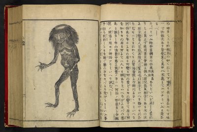 16084.d.15, f.24 Ein Neneko Kappa, aus 