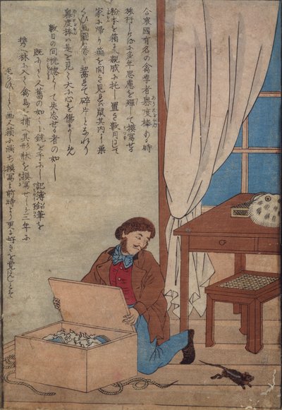 Audubon öffnet seine von Norwegischen Ratten zerstörten Aquarellkästen, ca. 1872-77 von Japanese School