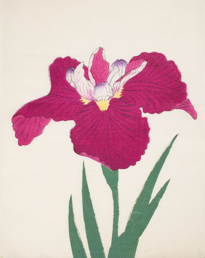 Date-Dogu, Nr. 2, 1890 von Japanese School