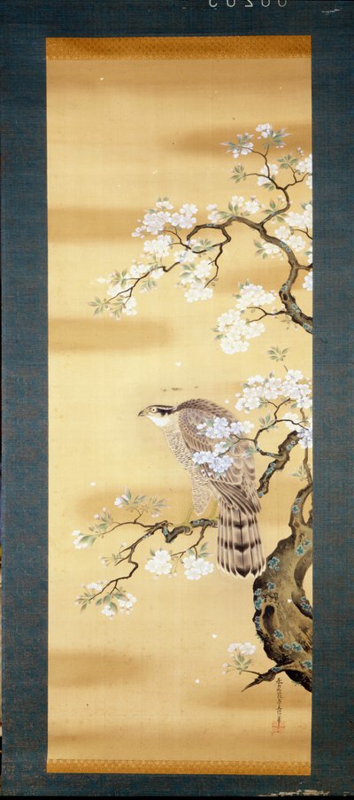 Falke auf einem blühenden Ast der japanischen Kirsche. Seidenmalerei aus dem 18. Jahrhundert aus Japan. Genua. Museo Chiossone. von Japanese School