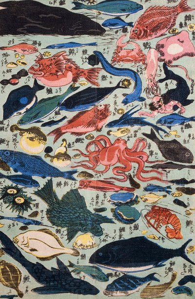 Frischer Fisch, Weichtiere und Krustentiere von Japanese School