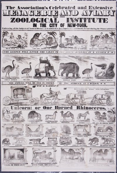 Die berühmte und umfangreiche Menagerie und Voliere der Association aus ihrem Zoologischen Institut in der Stadt New York von Jared W. Bell