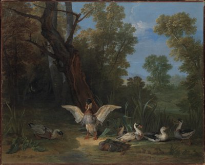 Enten ruhen im Sonnenschein von Jean-Baptiste Oudry