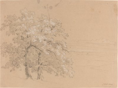 Sonnenbeschienene Bäume vor einer Panoramalandschaft von Jean Antoine Linck