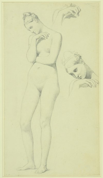 Studien für die Figur der Stratonike, um 1834-40 von Jean Auguste Dominique Ingres