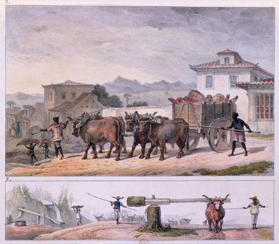Fleischtransport und Ochsenbändigung von Jean Baptiste (after) Debret