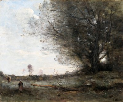 Die Buche von Jean Baptiste Camille Corot